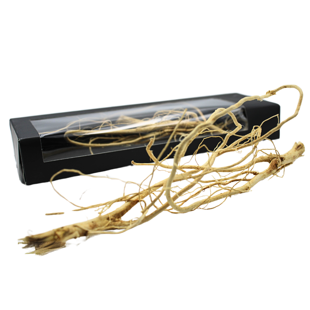 GINSENG AFRICAIN PREMIUM